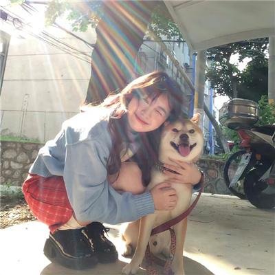 决战燕子门